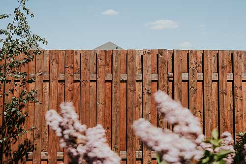 Freshly installed wooden privacy fence along residential backyard.